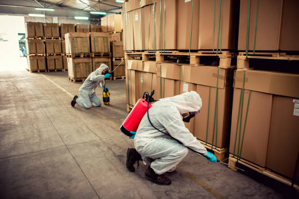 Best Bed Bug Extermination  in Hoopa, CA