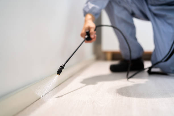Best Pest Control Near Me  in Hoopa, CA