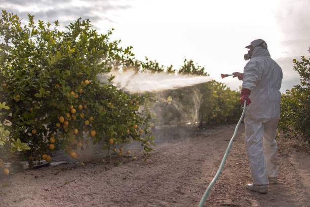 Best Wildlife Control Services  in Hoopa, CA