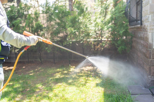 Best Pest Removal Services  in Hoopa, CA