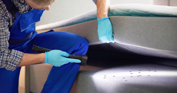 Reliable Hoopa, CA Pest Control Solutions