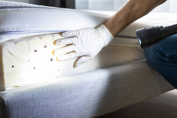 Best Commercial Pest Control Services  in Hoopa, CA